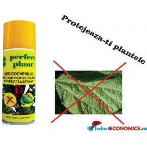 Spray Insecticid cu efect lustrant anti cocheniile (200 ML) Perfect Plant